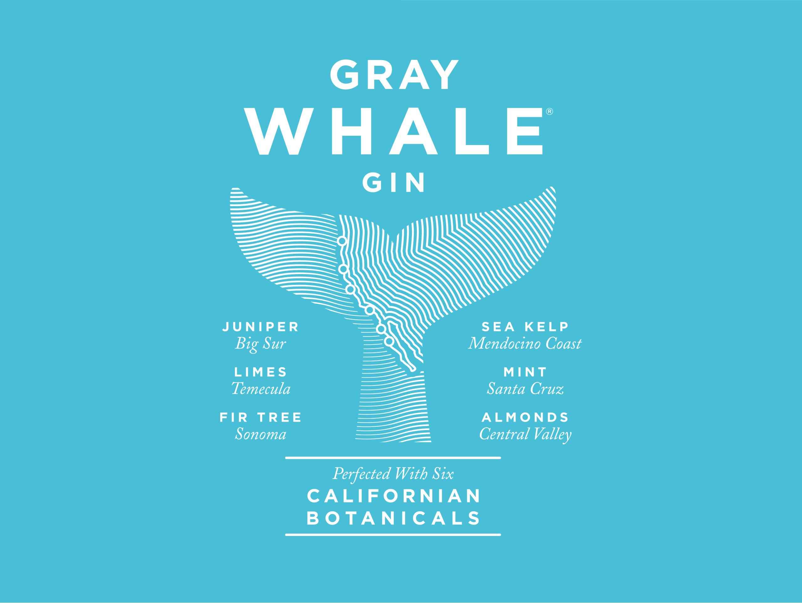 06-UC-Grey-Whale